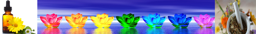 banner flores