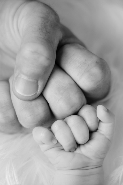 taller de constelaciones familiares